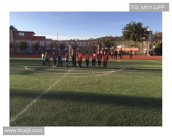 全球足球女星风采：从梅根·拉皮诺到阿尔维斯的传奇故事