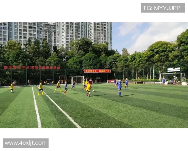 足球少年崛起之路：从街头球场到国际赛场的梦想与奋斗