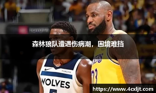 森林狼队遭遇伤病潮，困境难挡